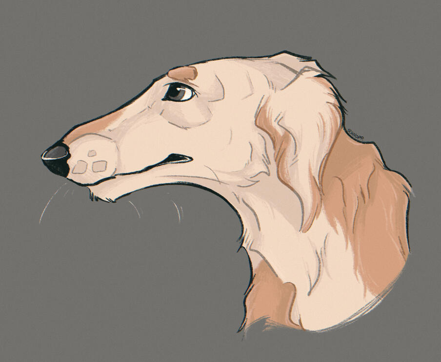Rauha - Borzoi