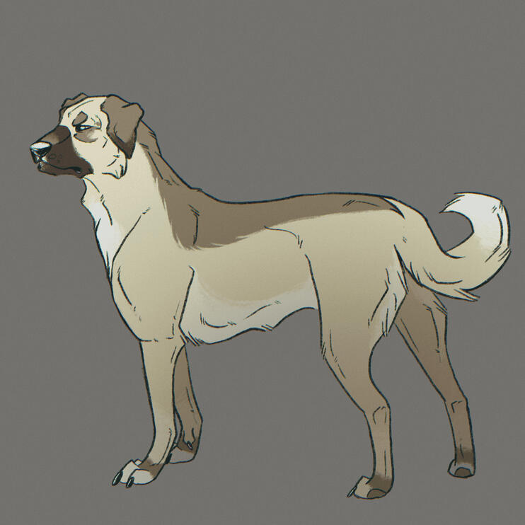 Rauha - Kangal