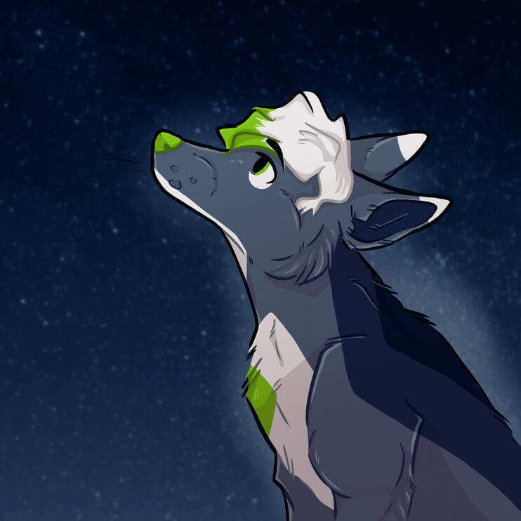 Kerr - Stargazing