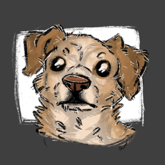 Nala the Dog
