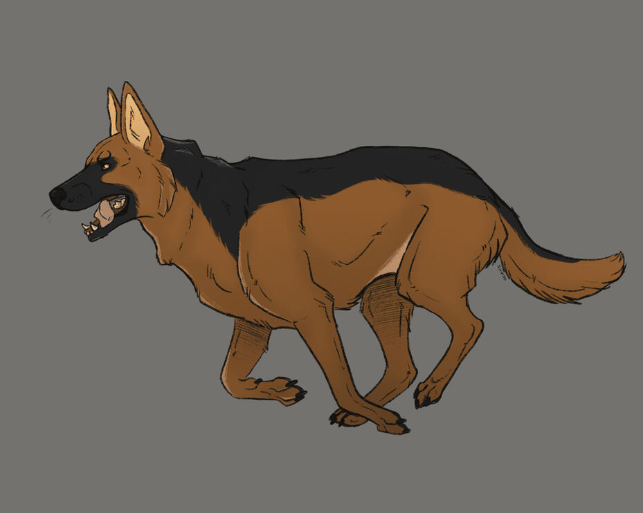 Rauha - GSD